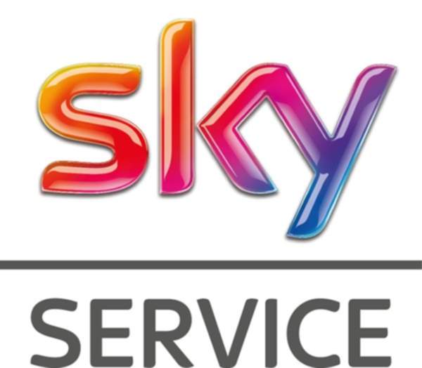 skyService